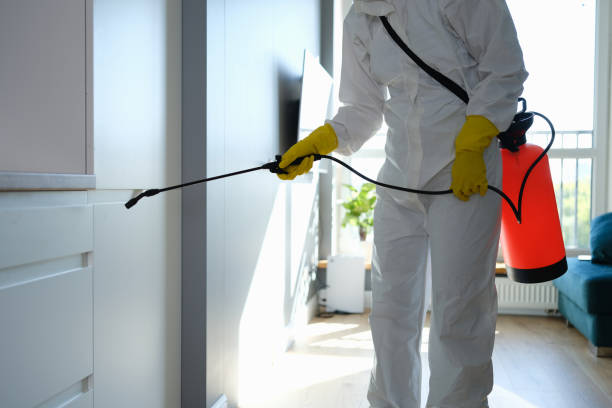 Best Commercial Mold Remediation in Plains, MT